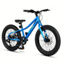 Mars 20 24 Inch Mountain Bike, 2.8-Inch Wide Tires, 6 Speed Drivetrain, Disc Brakes