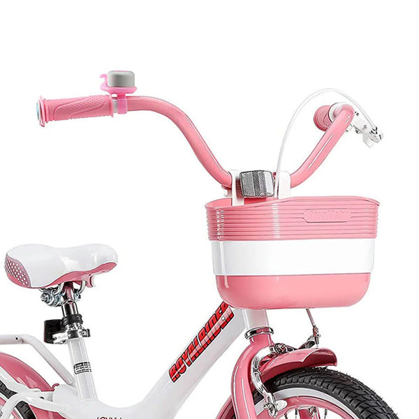 RoyalBaby Jenny Princess 20 Inch Kids Bike with Enclosed Chain Guard, Kickstand, Basket