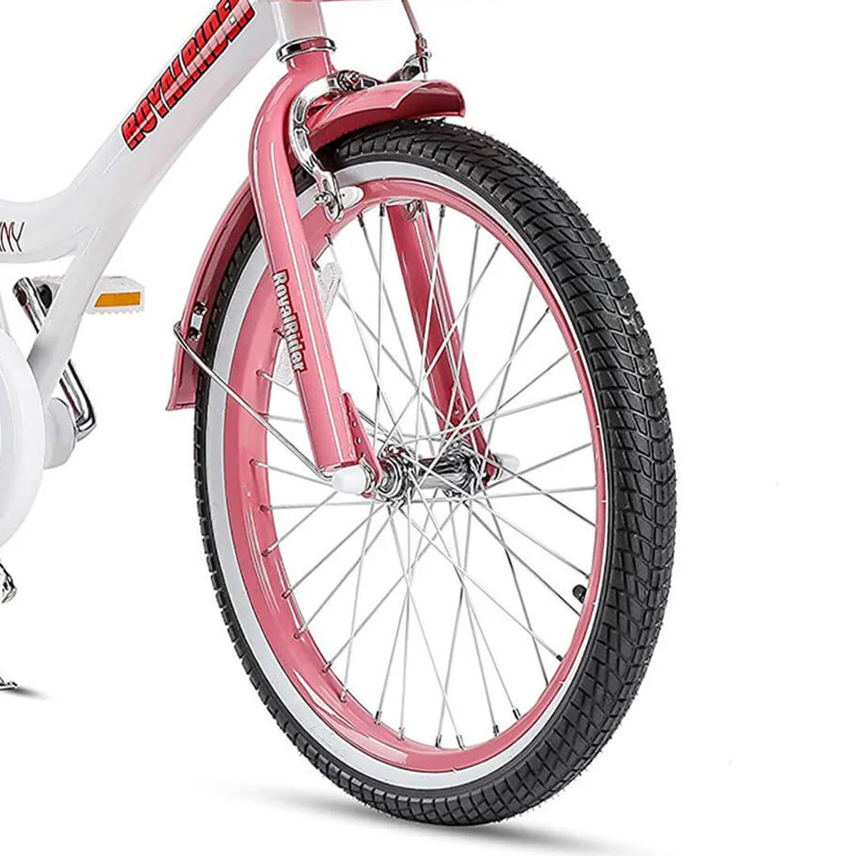 RoyalBaby Jenny Princess 20 Inch Kids Bike with Enclosed Chain Guard, Kickstand, Basket